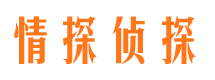 南江找人公司